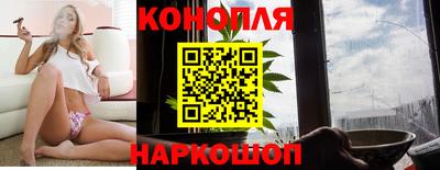 стафф Можга