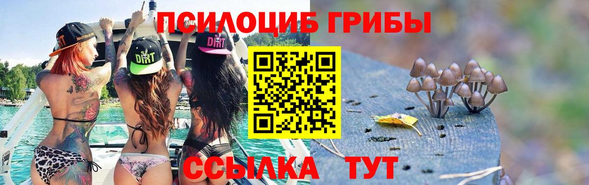 наркошоп  Вход с VPN  Городец  Псилоцибиновые грибы Cubensis 
