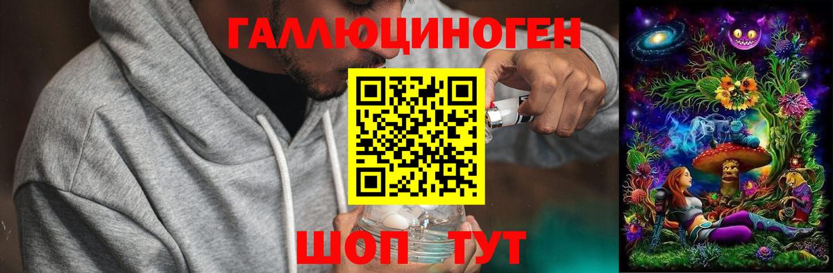 Псилоцибиновые грибы прущие грибы Городец